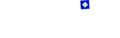 bayani brands logo